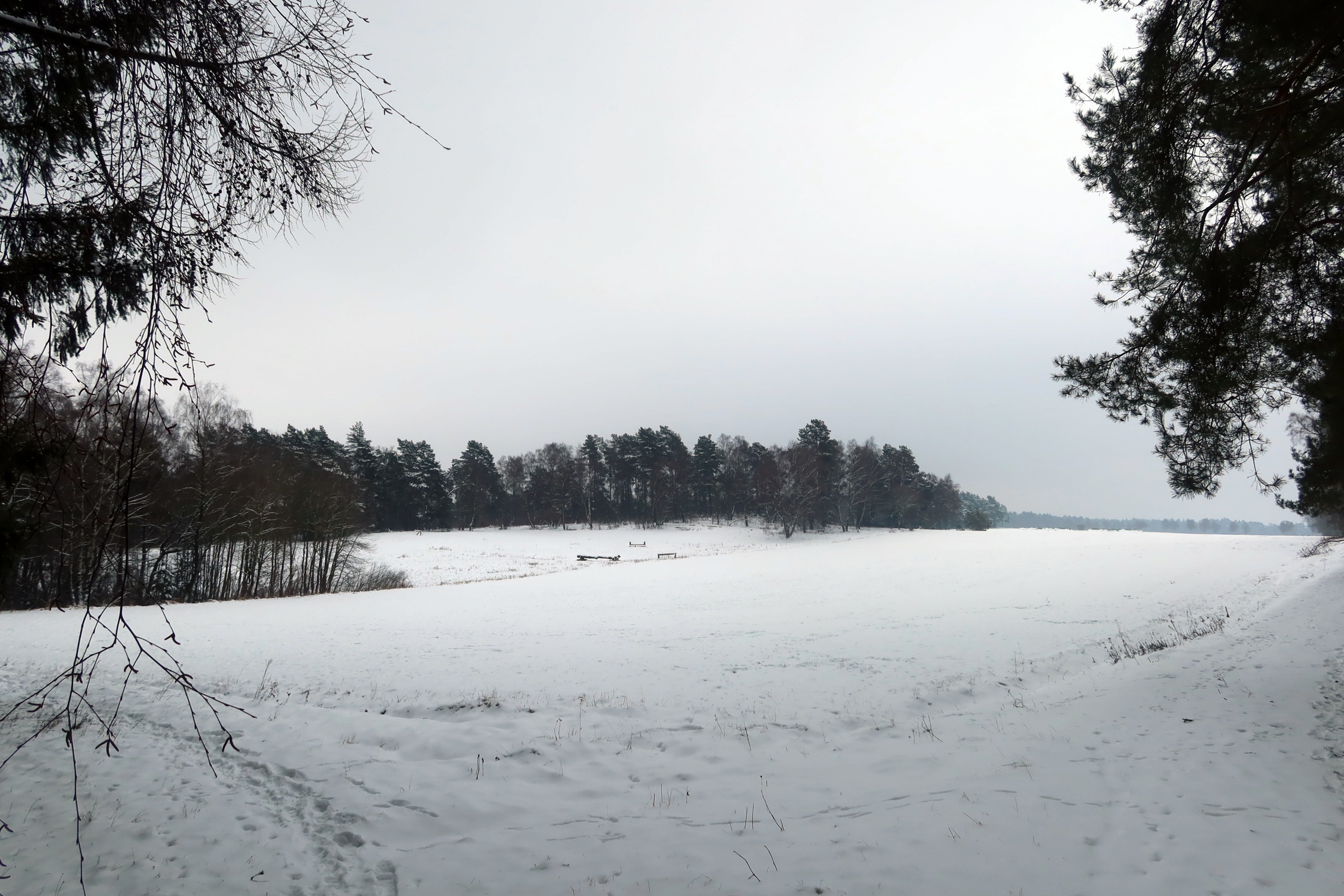 Wintertraum-Wanderung