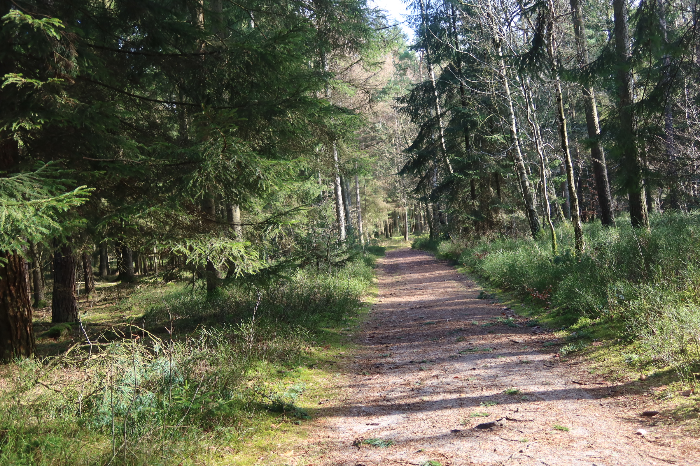 Hanstedter Berge – Auewanderweg