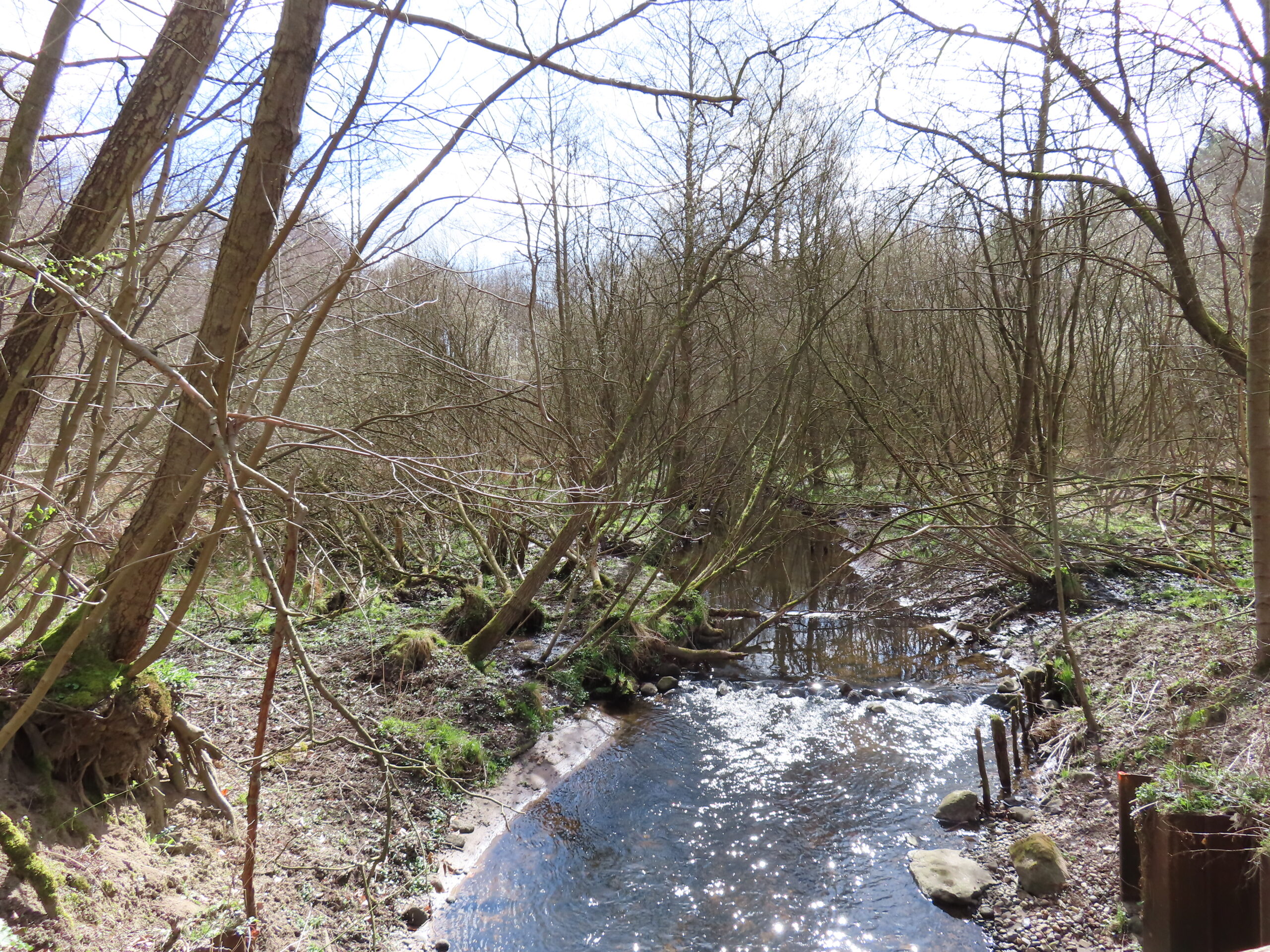 An der Schwarzen Aue