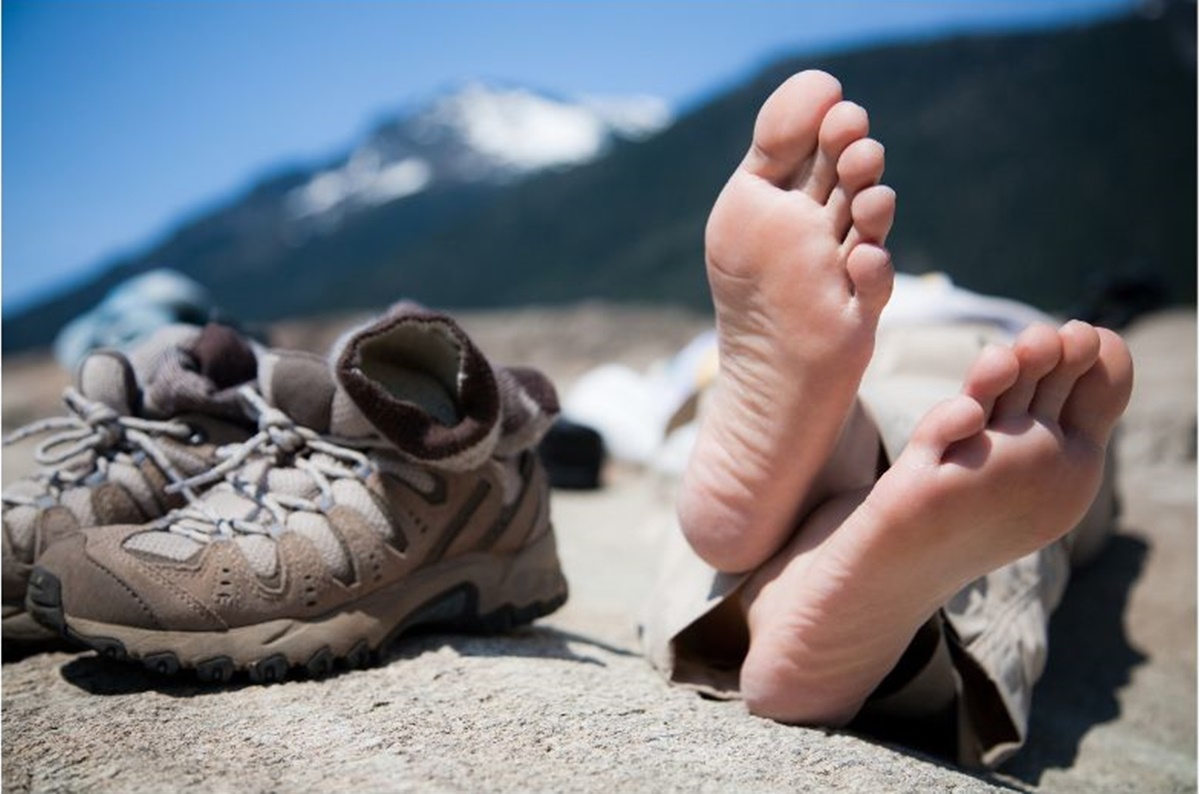 Geplante Wanderungen